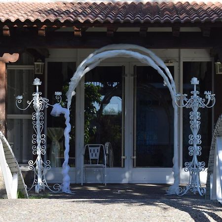 Hotel Las Casitas Del Jardin Tudela de Duero 外观 照片